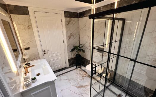 Buyukcekmece Luxury 5+2 Villas for Sale