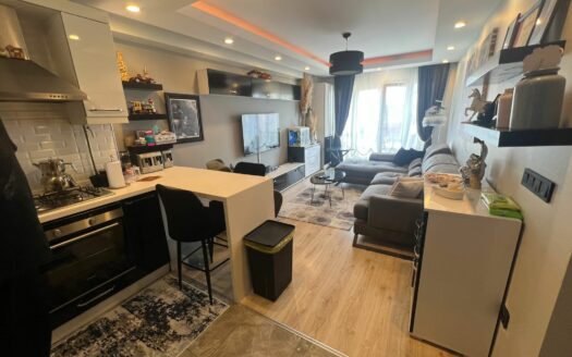 Beylikduzu Luxury 1+1 Apartment