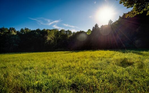 Land For Sale in Kirklareli